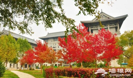 逛校园赏美景 看哪些大学校园成国家级景区[墙根网]