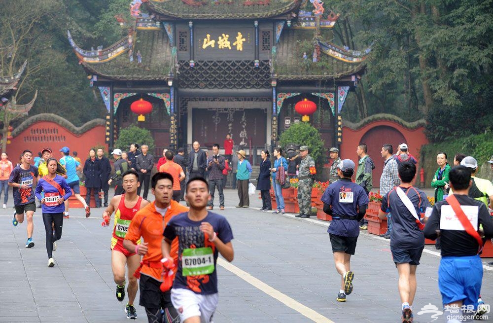 2016年最完整“跑马”计划书[墙根网]