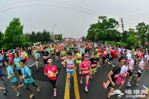 2016年最完整“跑马”计划书[墙根网]