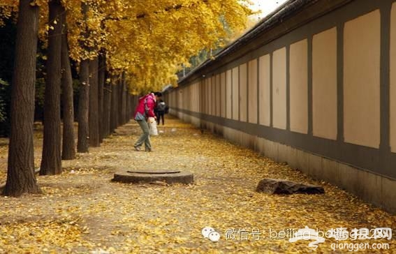在北京千万不能错过的22件美事！[墙根网]