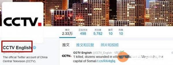 央视台标换了?网友:接受无能[墙根网]