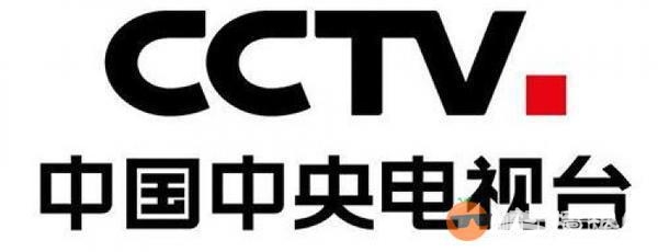 央视台标换了?网友:接受无能[墙根网]
