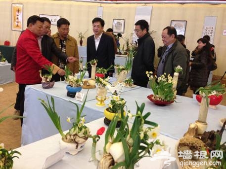第五届北京·漳州水仙花文化艺术展在京开幕