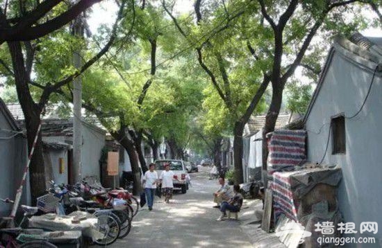 魅力惊人:让你死都不愿离开北京城的五十个理由