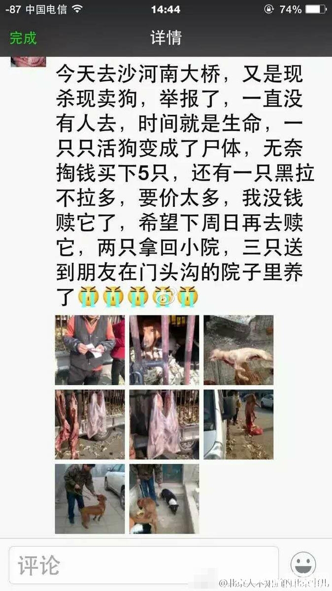 北京集市现杀金毛活狗[墙根网]