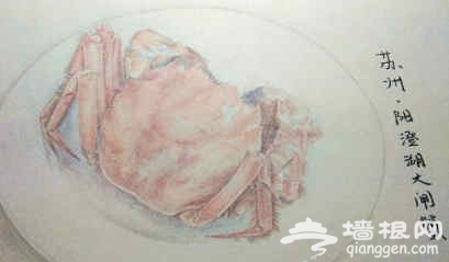 手绘江苏美食走红 当美食遇到艺术是怎样一种体验？[墙根网]