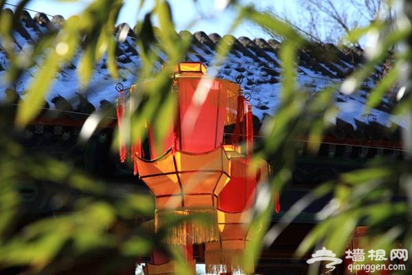 2016年春节必去地 第二十二届红螺寺庙会过年的灯笼挂起来[墙根网]