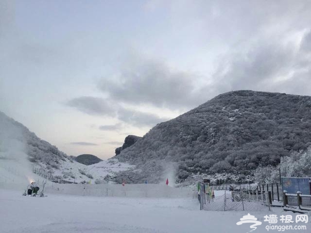 第17届金佛山冰雪节昨开幕 或迎最美冰雪节