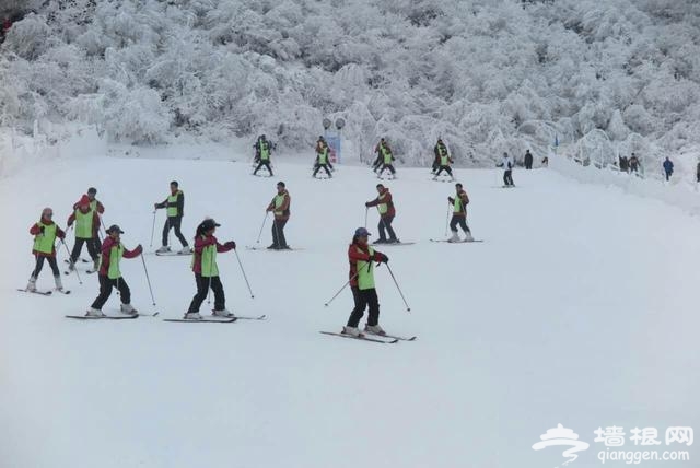 第17届金佛山冰雪节昨开幕 或迎最美冰雪节