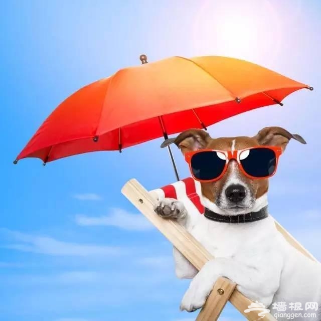 2016年最佳旅行时间表 走一圈就能玩遍中国[墙根网]