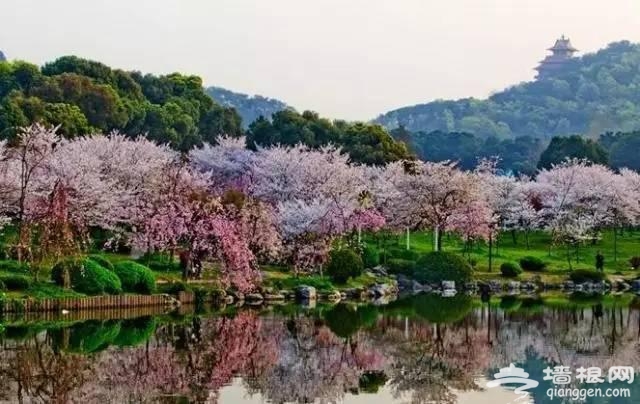 2016年最佳旅行时间表 走一圈就能玩遍中国[墙根网]