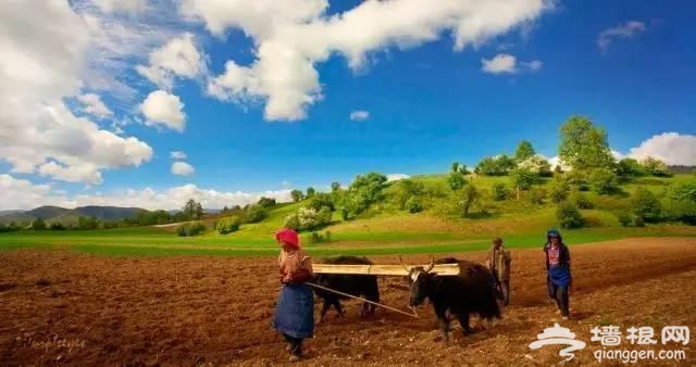 2016年最佳旅行时间表 走一圈就能玩遍中国[墙根网]