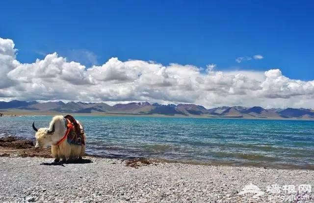 2016年最佳旅行时间表 走一圈就能玩遍中国[墙根网]