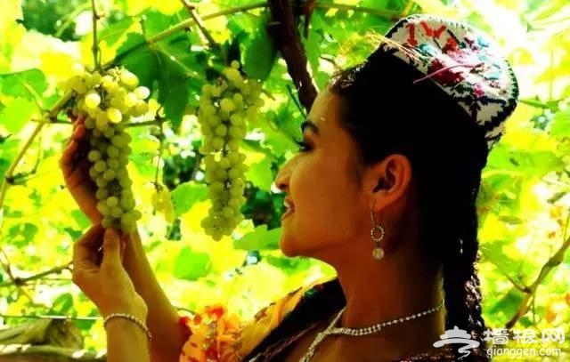 2016年最佳旅行时间表 走一圈就能玩遍中国[墙根网]