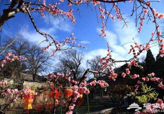2016年春节必去地 第二十二届红螺寺庙会过年的灯笼挂起来
