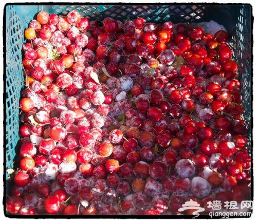 听说东北是个神奇的地方[墙根网]