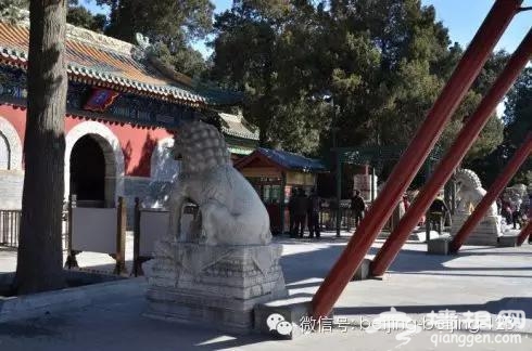 北京城中的15大奇葩异事，您听过几件？[墙根网]