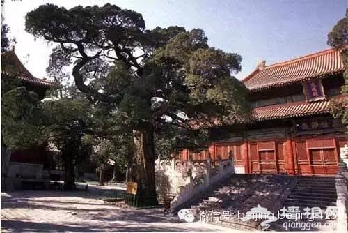 北京城中的15大奇葩异事，您听过几件？[墙根网]