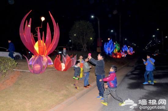 2016南昌之光艺术灯会将开幕 百组花灯迎新年[墙根网]