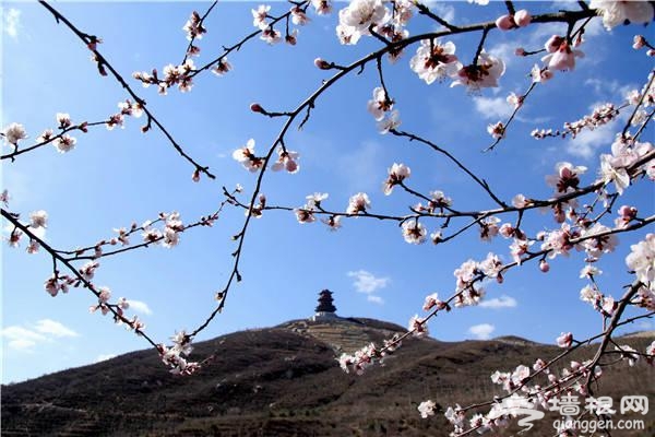 不到定都峰，枉到北京城[墙根网]
