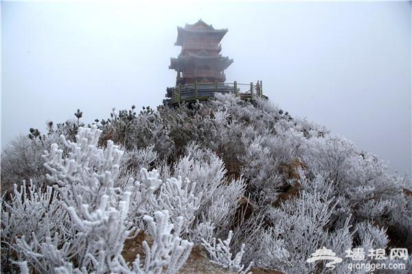 不到定都峰，枉到北京城[墙根网]