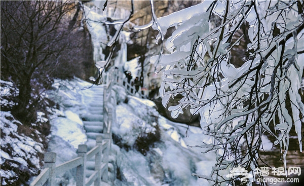 冰雪新世界清凉谷
