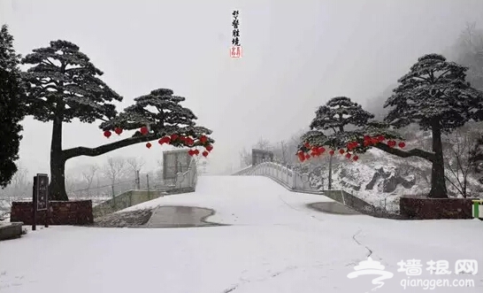 在北京的N种“死法” 来感受下[墙根网]