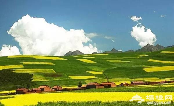 2016全国赏花最强攻略，各地花期可不要错过咯[墙根网]