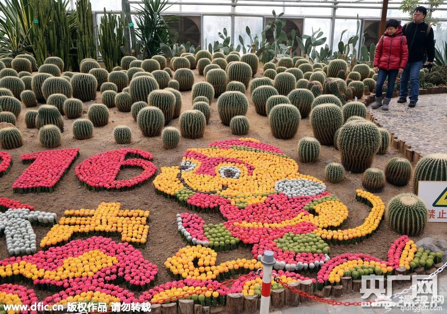 北京世界花卉大观园种出多彩植物猴[墙根网]