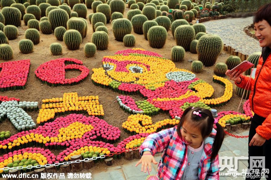 北京世界花卉大观园种出多彩植物猴[墙根网]