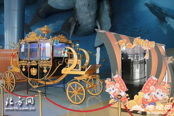 津门首现“海底舞龙” 天津极地海洋世界水中闹新年[墙根网]