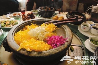 家门口旅行说走就走 京城新春玩法等你来[墙根网]