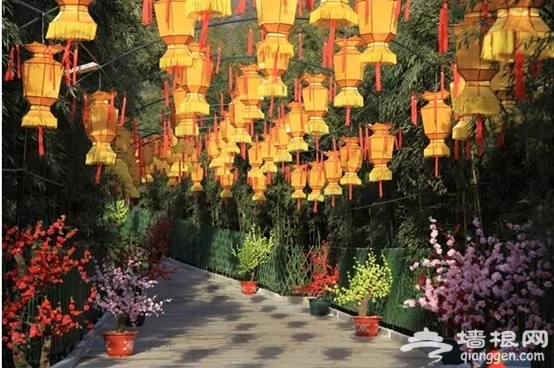 京郊美食美景民俗年 新鲜玩法大集结！[墙根网]