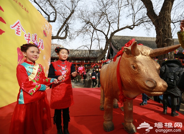 2016立春文化节 鞭打春牛文化旅游活动在古观象台举行