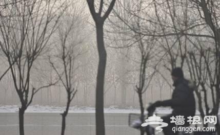 假如北京没了外地人[墙根网]