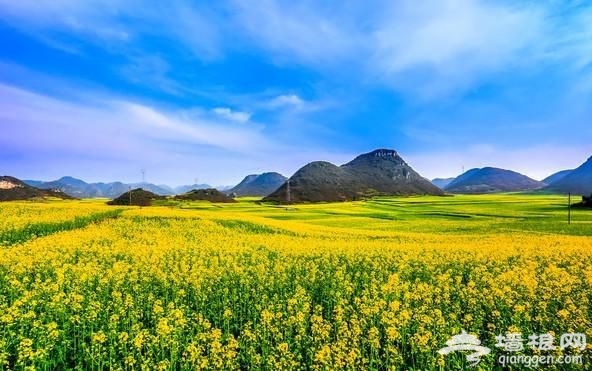 2016年国内十大最佳赏花地，让你的旅途如花绽放