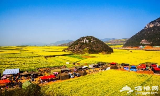 2016年国内十大最佳赏花地，让你的旅途如花绽放