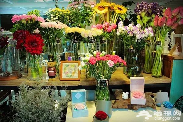 谁说旅行非要去景点 私藏京城比景点更有趣的50家小店[墙根网]