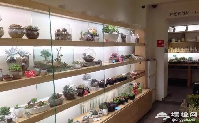谁说旅行非要去景点 私藏京城比景点更有趣的50家小店[墙根网]