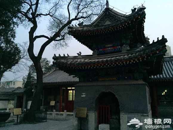 大京京《徒步逛北京》（四）[墙根网]