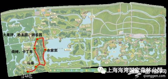 2015上海梅花节游玩路线推荐