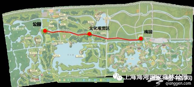 2015上海梅花节游玩路线推荐