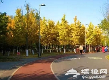 北京童鞋们的福利！这9件事情让猴年的北京与众不同[墙根网]