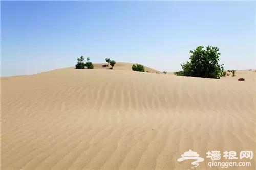 必去的55个地方 你去了几个[墙根网]