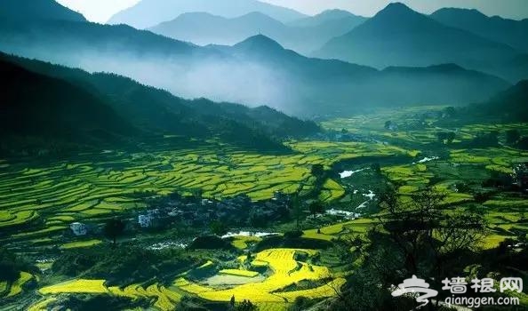 这10个地方适合3月踏春旅行[墙根网]
