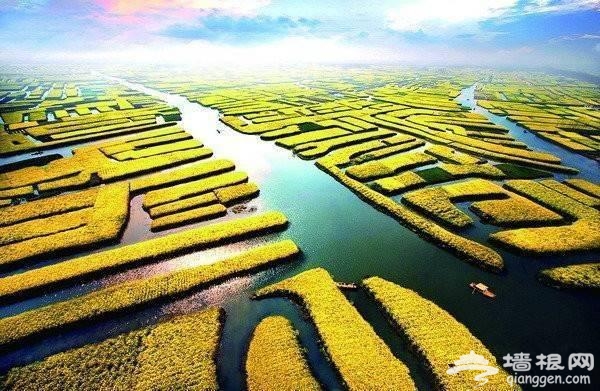 这10个地方适合3月踏春旅行[墙根网]