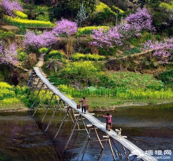 这10个地方适合3月踏春旅行[墙根网]