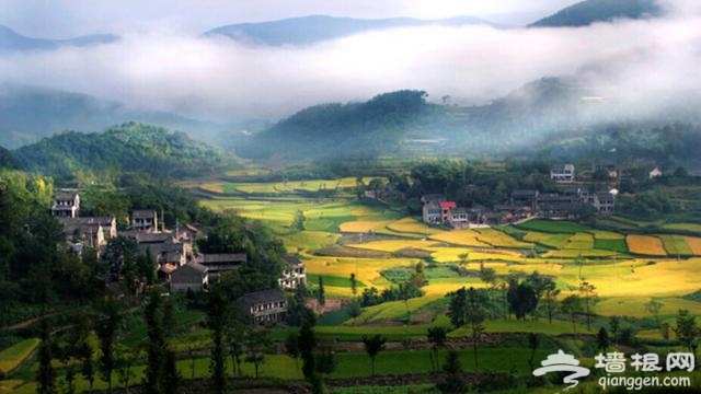 这10个地方适合3月踏春旅行[墙根网]