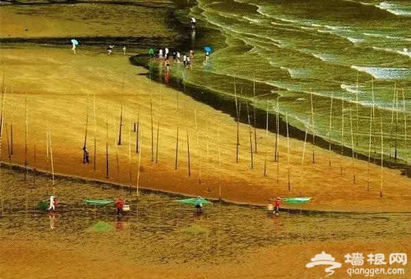 这10个地方适合3月踏春旅行[墙根网]