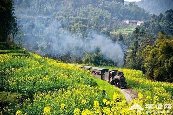 这10个地方适合3月踏春旅行[墙根网]